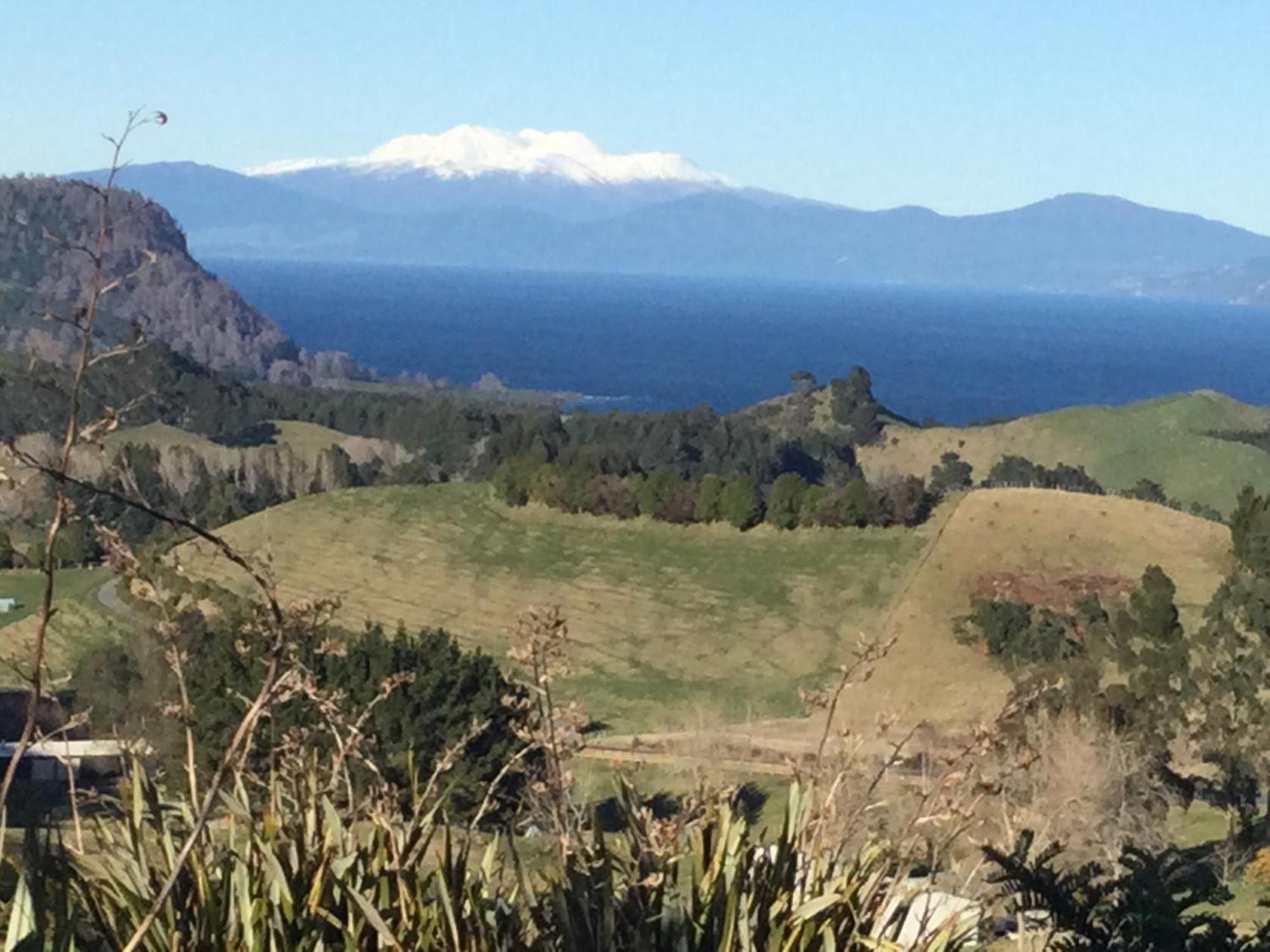 Whakaipo Bay Cabin Retreat Tauposjön Exteriör bild
