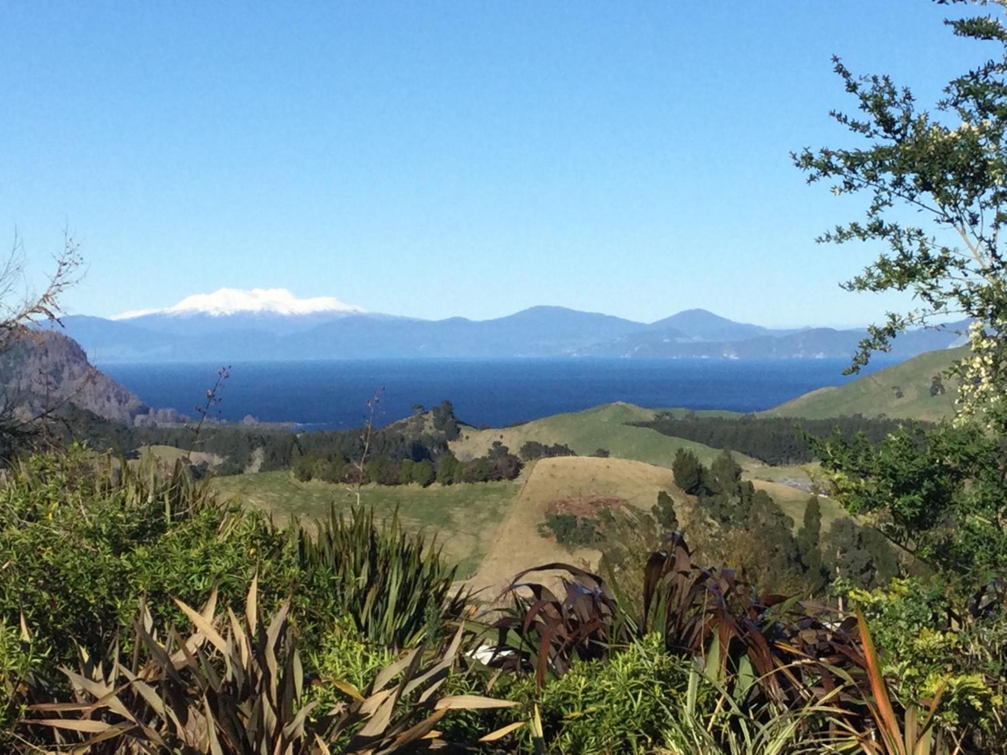 Whakaipo Bay Cabin Retreat Tauposjön Exteriör bild